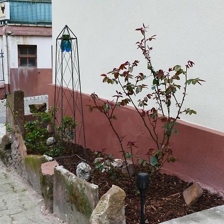 Le Gite Des Sources: Nature, Randonnees, Detente. Oberbronn Exterior photo