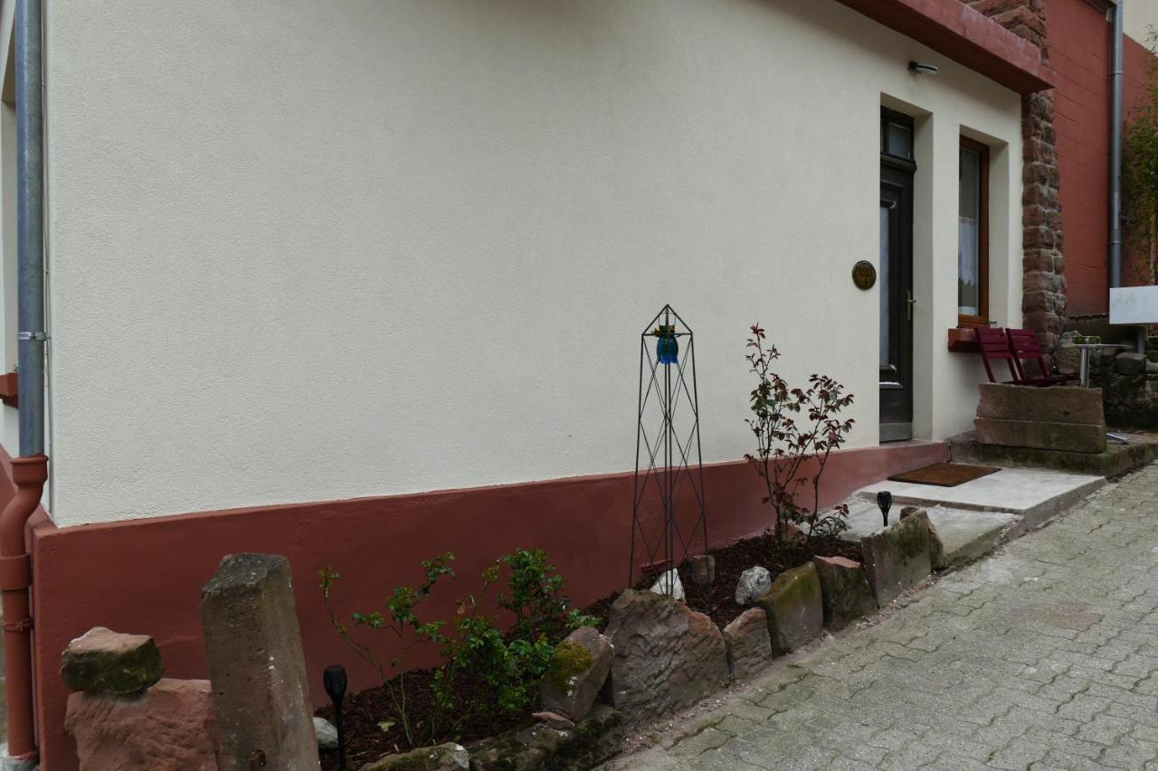 Le Gite Des Sources: Nature, Randonnees, Detente. Oberbronn Exterior photo